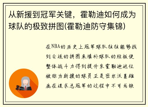 从新援到冠军关键，霍勒迪如何成为球队的极致拼图(霍勒迪防守集锦)