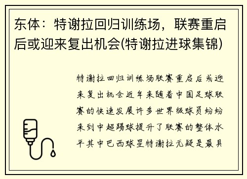 东体：特谢拉回归训练场，联赛重启后或迎来复出机会(特谢拉进球集锦)